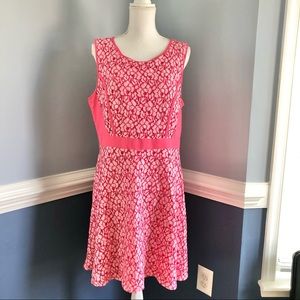 Size 16 New York & Company lace dress